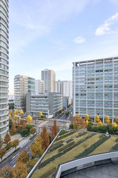 マンション敷地内の自然に四季の移ろいを感じ、見上げると青々と広がる空を望める眺望です。凛とした空気が流れこみ、穏やかな時間が流れます。