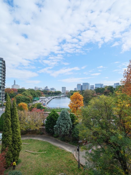 千鳥ヶ淵の豊かな緑と広い青空が美しく調和する、開放感あふれる眺めが広がります。季節や時間とともに表情を変える、飽きのこない景色をお愉しみいただけます。
