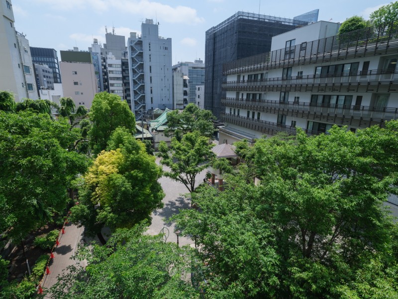 目の前には十思公園の緑が広がり、都心にいながら季節の移ろいを身近に感じられる眺望です。リフレッシュスペースにぴったりです。