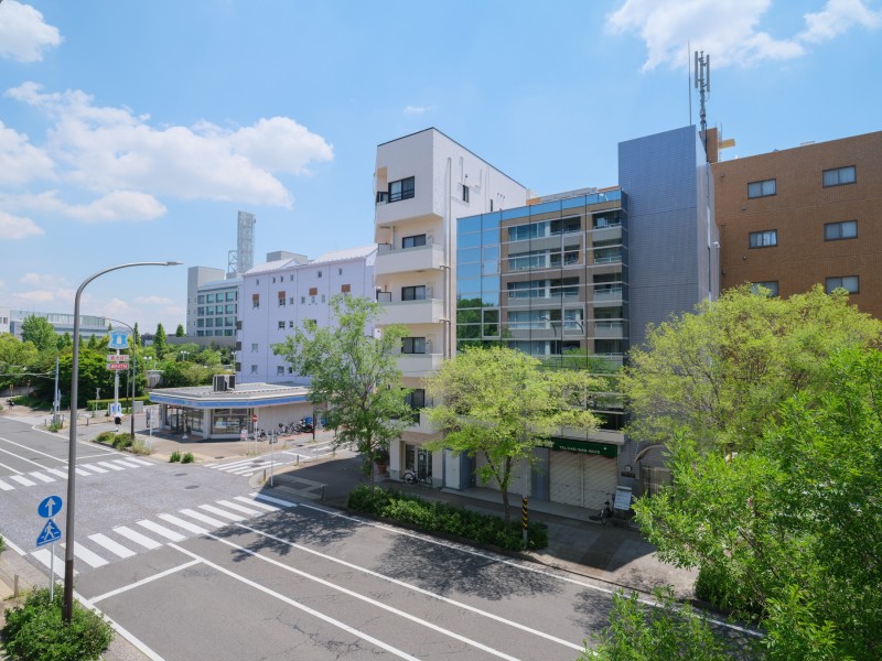 バルコニーからの眺望です。あざやかな黄葉が季節の移り変わりを知らせてくれます