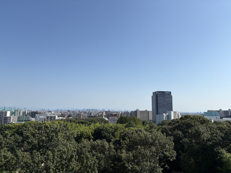 大きく広がる青い空と前面に広がる深い緑のコントラストが美しい、自然豊かな景色が広がります。日々忙しさに追われる暮らしの中で、光と風を感じながらゆったりと伸びをしたくなるような眺望です。