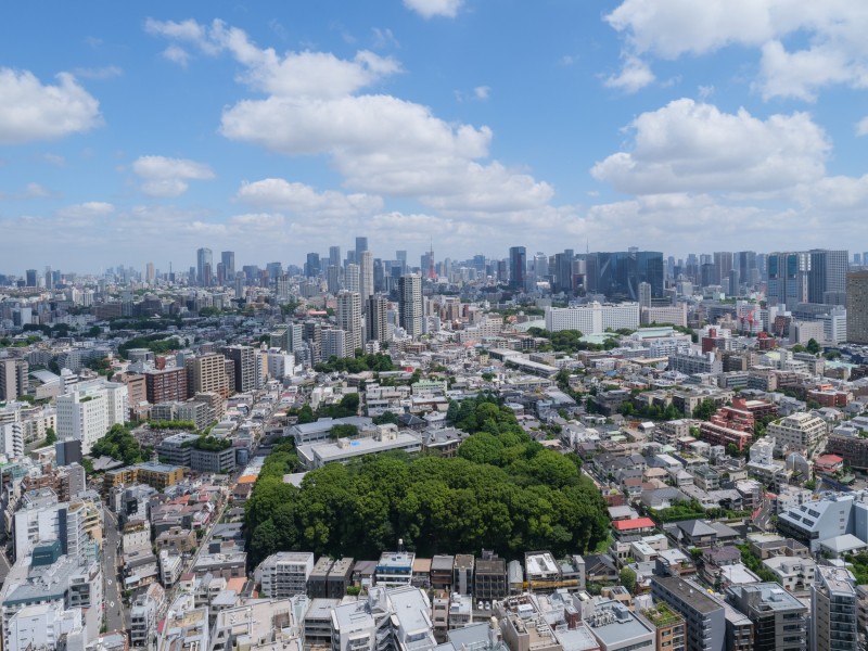 遠くまで青々と広がる大空に開放感とゆとりを宿すタワーレジデンスです。飽きのこない窓辺からの光景を愉しむことができます。