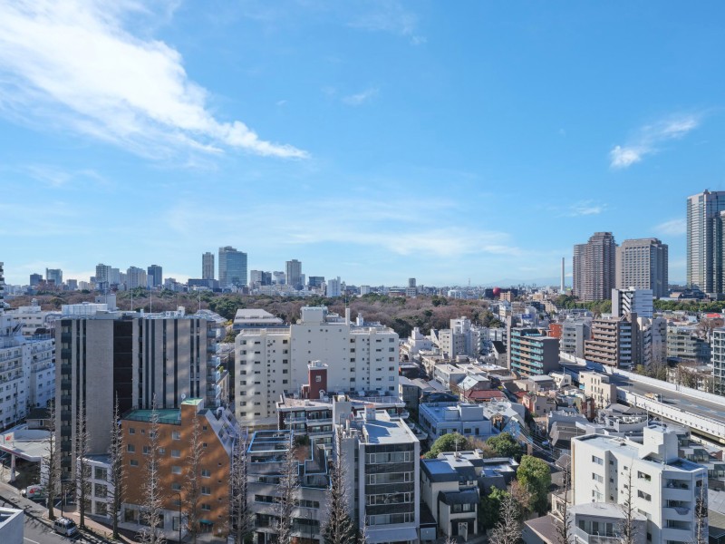 自然教育公園向きの眺望で自然の緑も望めます。遠くまで青々と広がる大空に開放感とゆとりを宿すタワーレジデンス。飽きのこない窓辺からの光景を愉しむことができます。