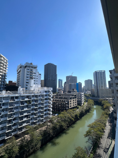 三方道路に面した開放的な立地で桜並木が美しい目黒川沿いに位置しているため、春にはお部屋から桜を望むことができます。