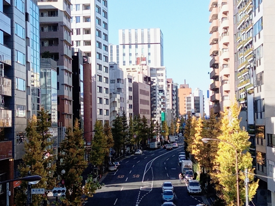 恵比寿の地価・マンション価格推移と今後の展望