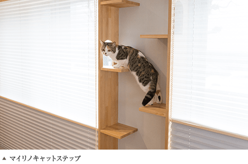猫窓 ステップ 890920猫窓 ステップ